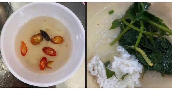 Doanh nghiệp cung ứng bữa ăn xin lỗi sinh viên vì "canh rau có sâu"