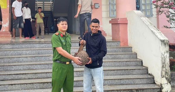 Người dân giao nộp chim diều hoa Miến Điện, tê tê Java quý hiếm
