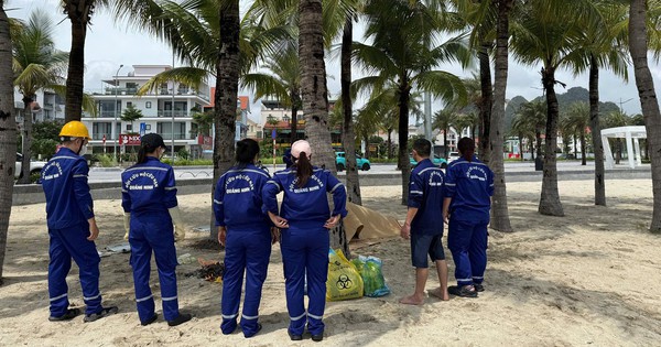 Phát hiện 2 thi thể nam, nữ trôi dạt trên vịnh Hạ Long