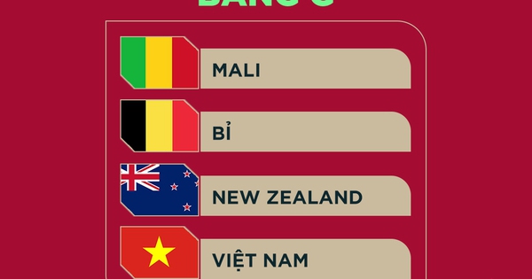 U17 Việt Nam chạm trán Bỉ, Mali tại vòng bảng World Cup