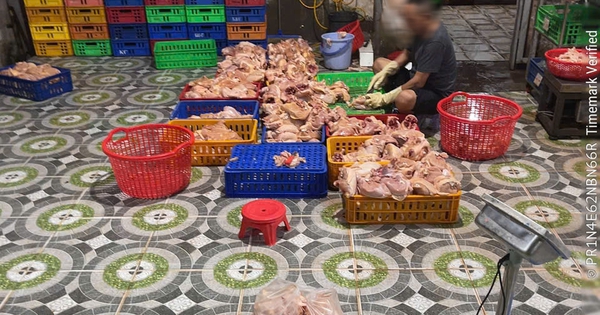 TPHCM phát hiện cơ sở giết mổ gia cầm hoạt động “chui” lúc gần 3 giờ sáng