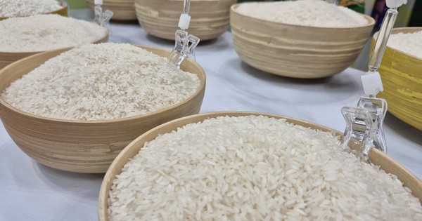 Ngành điều, gạo, rau quả trước quy định nhập khẩu mới của Trung Quốc