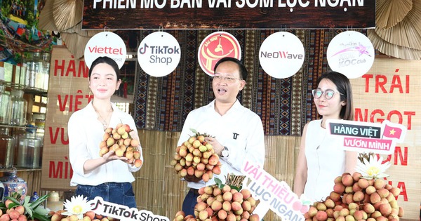Phó chủ tịch tỉnh livestream bán vải thiều thu hút hàng trăm ngàn lượt xem, chốt 4.830 đơn