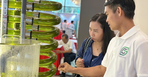Chợ công nghệ xanh đang diễn ra tại TPHCM có gì đặc biệt?