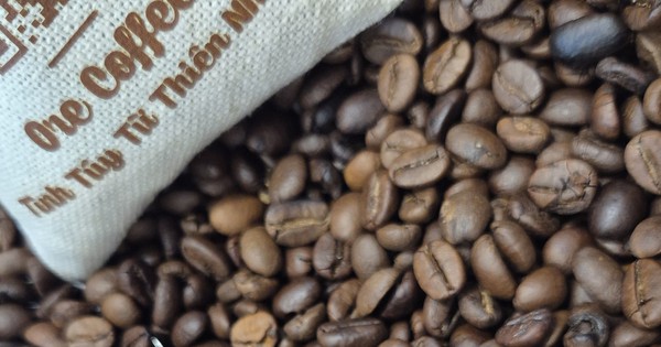Giá cà phê hôm nay 23-5: Robusta tăng tiếp