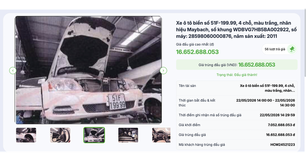 Một người trả hơn 16,6 tỉ đồng mua Maybach "biển VIP" của bà Trương Mỹ Lan