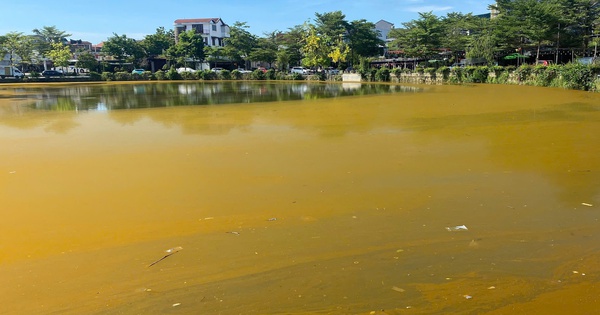 Hồ Trái Tim ở Huế xuất hiện màu nâu vàng bất thường