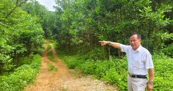 Người dân lo lắng khi đưa khu đất đầu nguồn nước vào quy hoạch mỏ đất