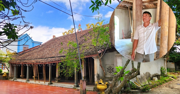 Đình cổ chờ sập ở Thanh Hóa, dân làng dùng tre luồng chống đỡ