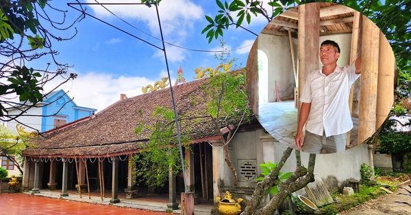 Đình cổ chờ sập ở Thanh Hóa, dân làng dùng tre luồng chống đỡ