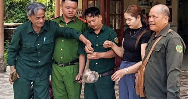 Thả con vật đặc biệt quý hiếm về rừng Đà Nẵng