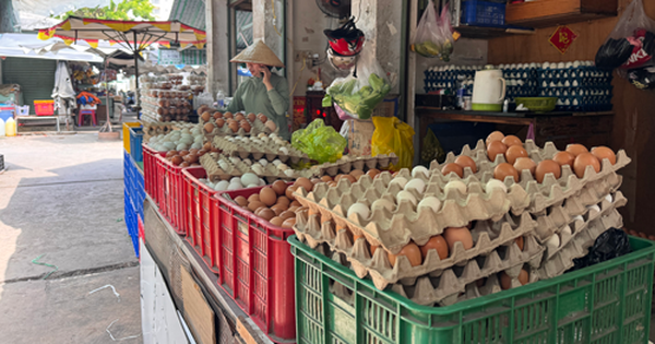 Lao đao vì giá trứng giảm sâu