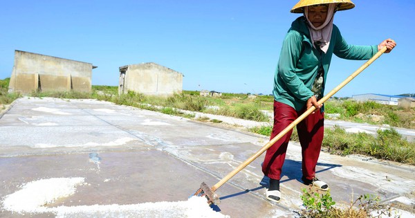 Nông dân đẫm mồ hôi mưu sinh trên đồng ruộng nắng như đổ lửa hơn 40 độ C