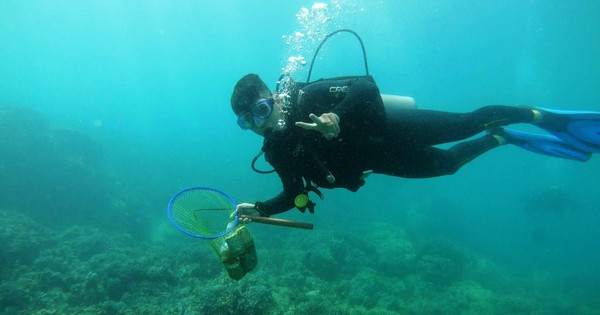 Khoanh vùng bảo vệ san hô vịnh Nha Trang