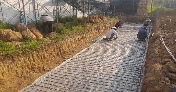 Đoạn Hoàng thành bị chê 