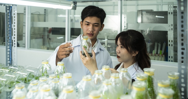 Trường ĐH Văn Lang công bố học bổng 
