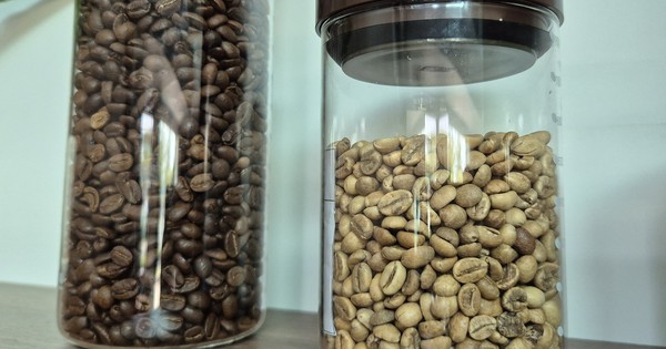 Giá cà phê hôm nay 30-5: Arabica lao dốc, người Việt uống cà phê nhiều hơn