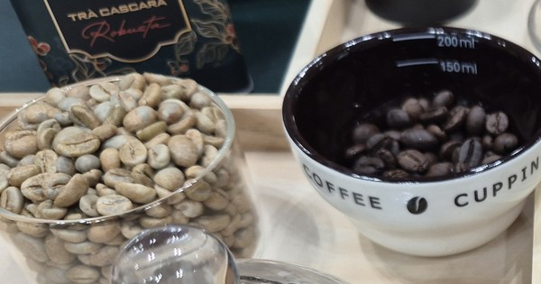 Giá cà phê hôm nay 4-5: Liệu Robusta có về lại mốc 4.000 USD/tấn?