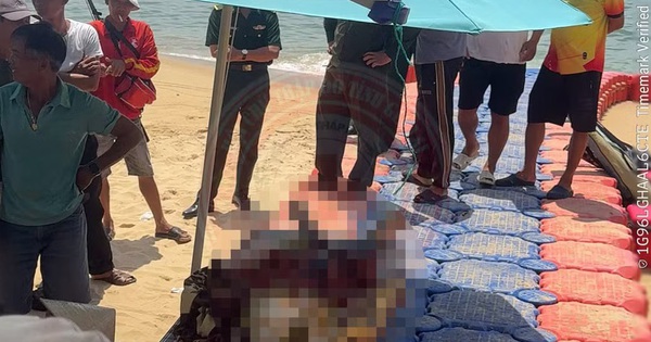 Đang câu cá, người đàn ông bất ngờ rơi xuống biển Gia Lai tử vong