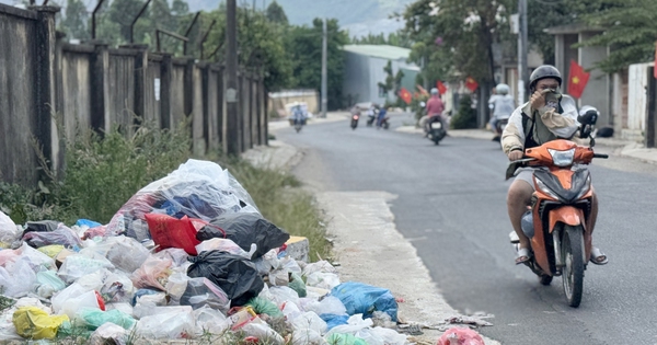 Rác thải bủa vây nhiều tuyến đường ở Đà Nẵng