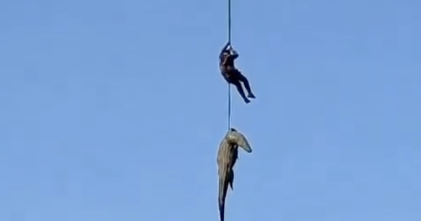 VIDEO: Cảnh sát treo mình trên sông đầy cá sấu để tìm thi thể doanh nhân ở Nam Phi