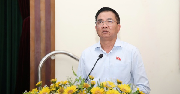 Cử tri TPHCM kiến nghị chuyển đổi thêm nhiều dự án treo thành công viên