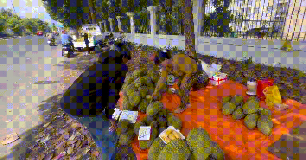 Hình ảnh nhà vườn ở Cần Thơ "ồ ạt " ra vỉa hè bán sầu riêng giá rẻ bèo