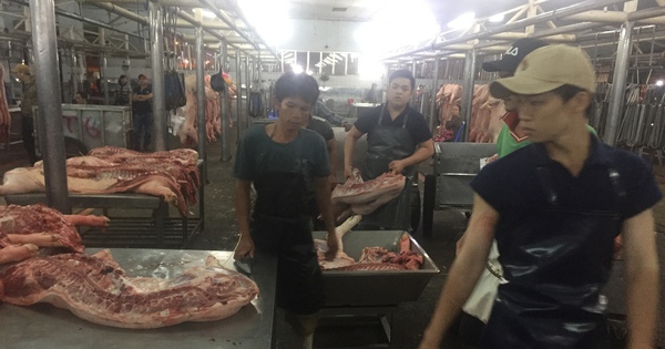 Giá heo hơi hôm nay, 7-5: Heo mảnh, heo pha lóc đều giảm