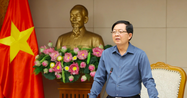 Phó Thủ tướng yêu cầu mở "chiến dịch ngày đêm" làm sạch dữ liệu đất đai