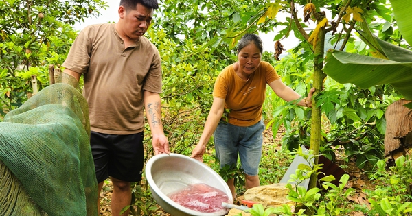 Vụ nước giếng khoan đổi màu tím ở Thanh Hóa: Kết quả phân tích chất lượng nước
