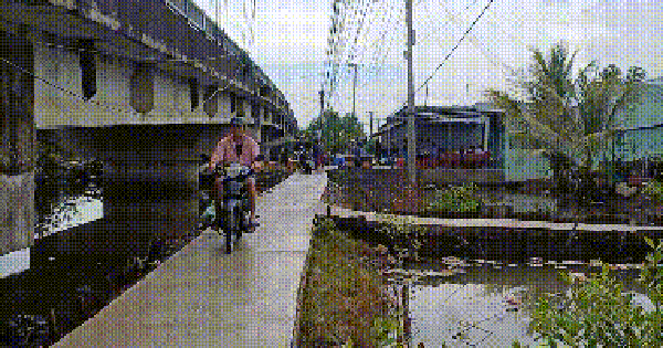 Vụ thảm án ở Tây Ninh: Nhiều người rơi nước mắt trước khi gia đình đưa 2 nạn nhân đi an táng