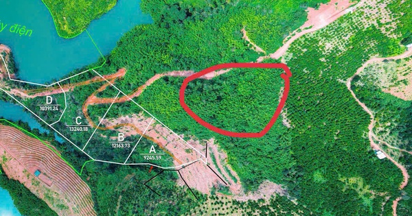 Tin vui cho người mua "đất giấy tay" trước 2024