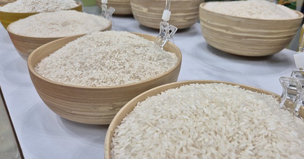 Bỏ giấy phép xuất khẩu gạo: Gỡ rào cản hay tạo cạnh tranh lệch chuẩn?
