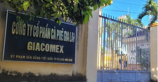 Một doanh nghiệp cà phê ở Gia Lai bị đề nghị điều tra