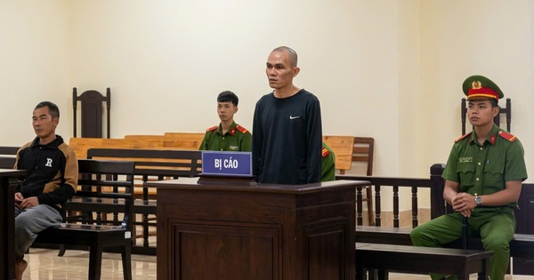 Trả hồ sơ điều tra vụ sát hại thiếu tá công an, làm rõ bệnh án tâm thần