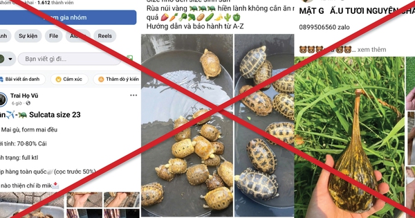 Tràn lan "chợ đen" thú rừng trên mạng