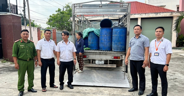 Phát hiện người phụ nữ lái xe tải chở gần 1 tấn heo chết đưa đi tiêu thụ ở TPHCM