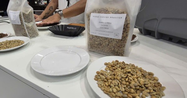 Giá cà phê hôm nay 8-5: Robusta tăng phiên thứ 3