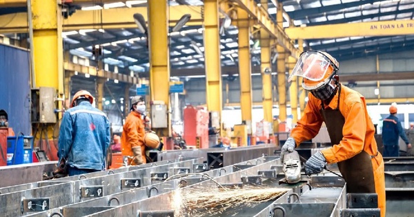 Để không "lạc lối" trên thị trường lao động