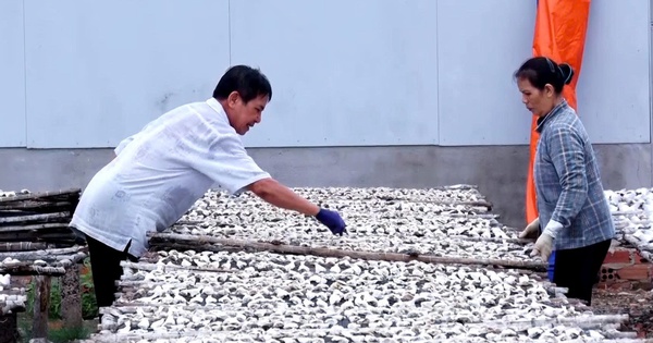 Giữ vị biển trong từng mẻ cá khô Long Hải