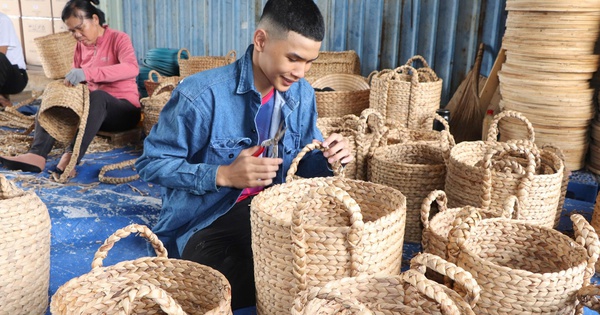 "Hóa kiếp" cho cây lục bình