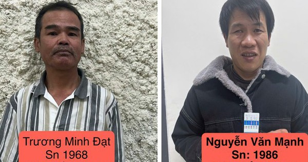 Khởi tố nhóm bắt trộm 124 con chó ở Đà Lạt