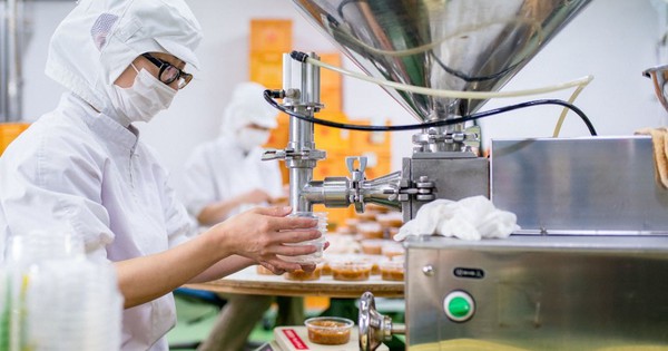 TPHCM giới thiệu việc làm cho hơn 265.000 lượt ngư