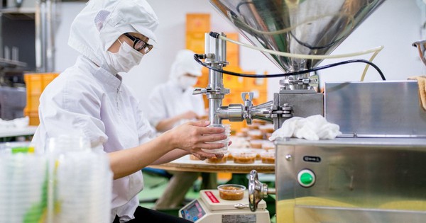 TPHCM giới thiệu việc làm cho hơn 265.000 lượt người