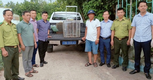 Nhiều động vật quý hiếm liên tiếp xuất hiện giữa khu dân cư 