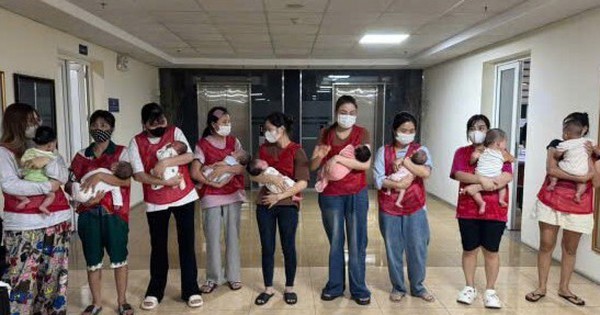 Triệt phá hoạt động môi giới mang thai hộ, mua bán trứng, thu lợi bất chính hàng trăm triệu đồng