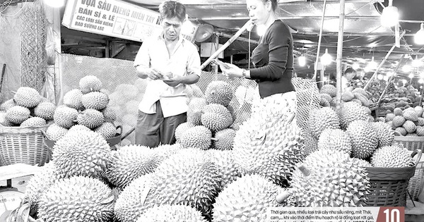 Báo in ngày 16-6: Mẩu giấy trên mâm cơm để phần
