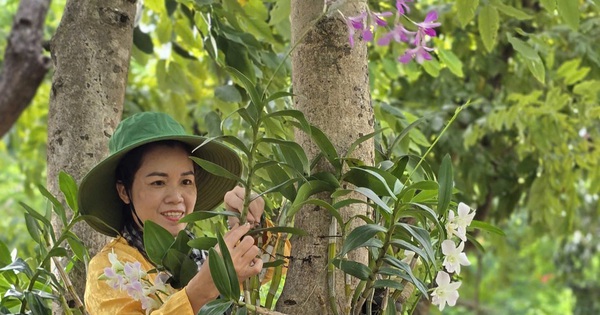 "Hồi sinh" lễ vật thành mầm xanh