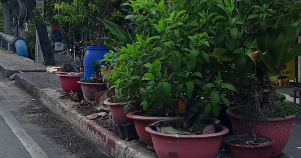 Chiếm dụng lối đi bộ