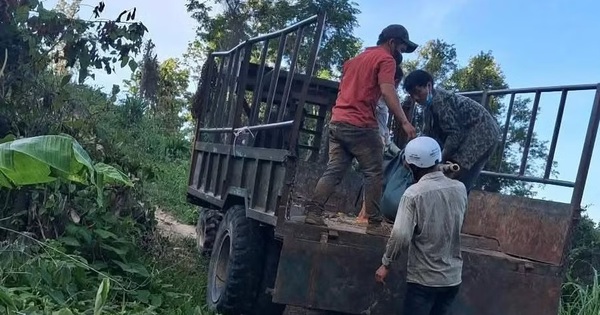 Vây bắt nghi phạm nổ súng giết người trong rừng sâu Gia Lai